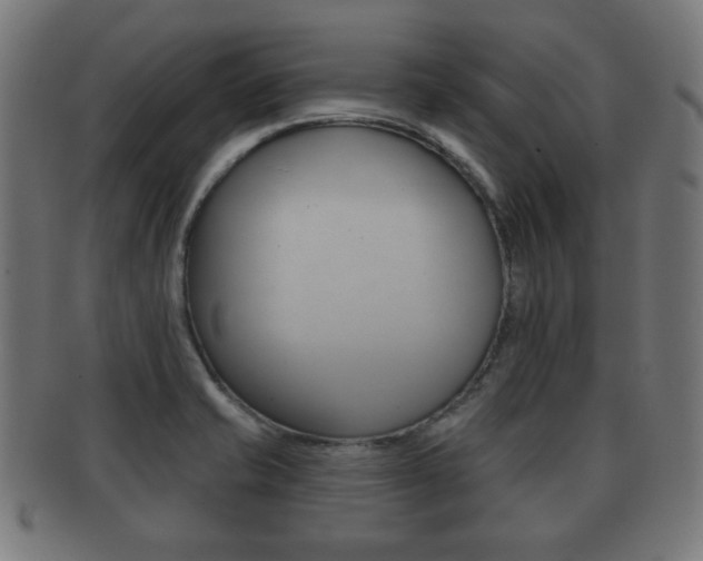 X0000091911421200709051202