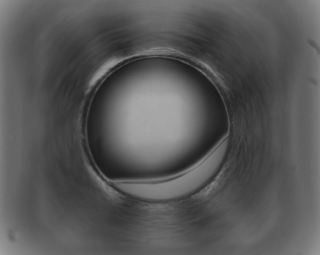 X0000091911422200709051202