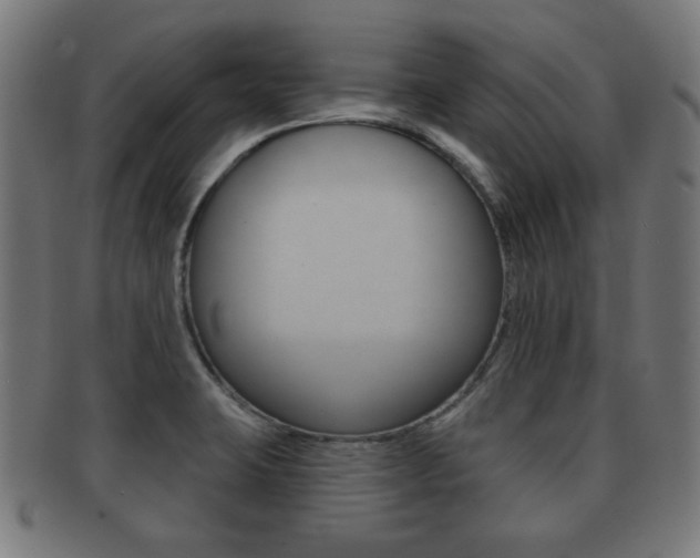 X0000091911423200709051202