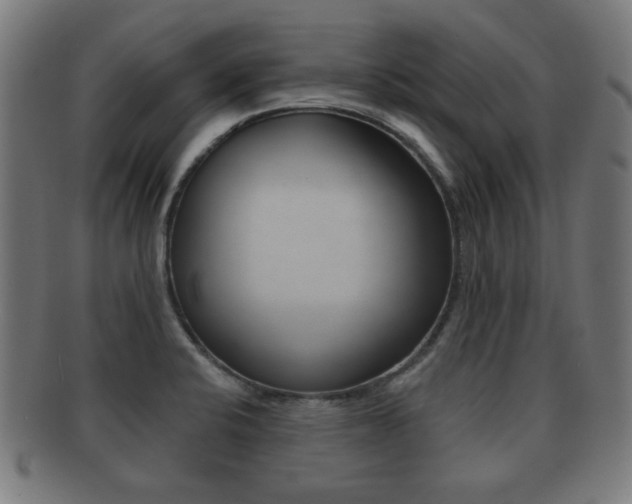 X0000091911424200709051202