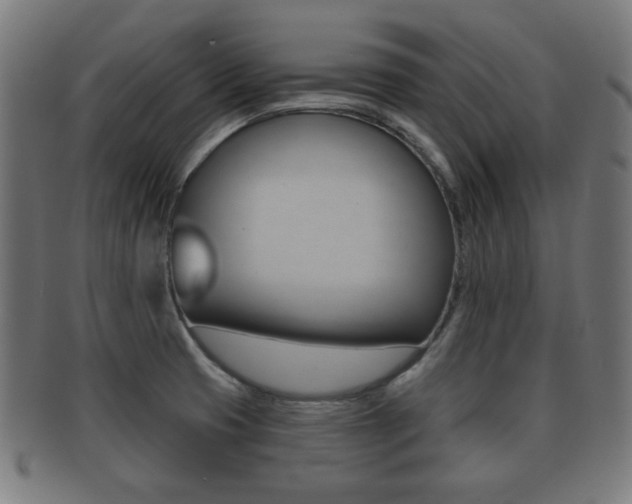 X0000091911425200709051202