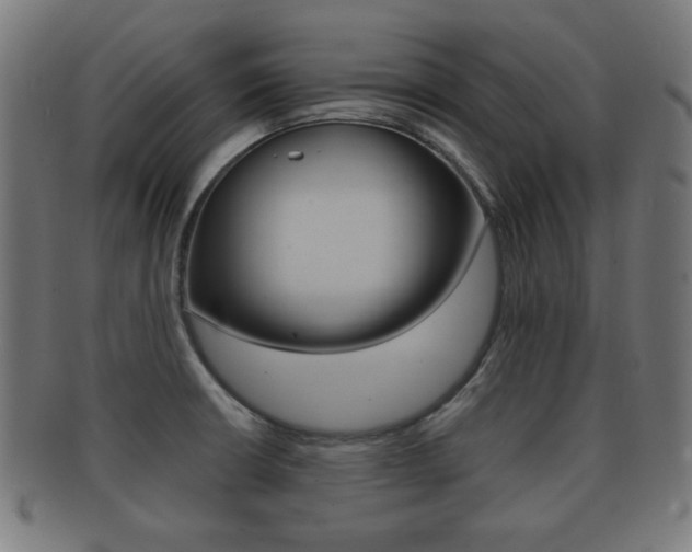 X0000091911426200709051202
