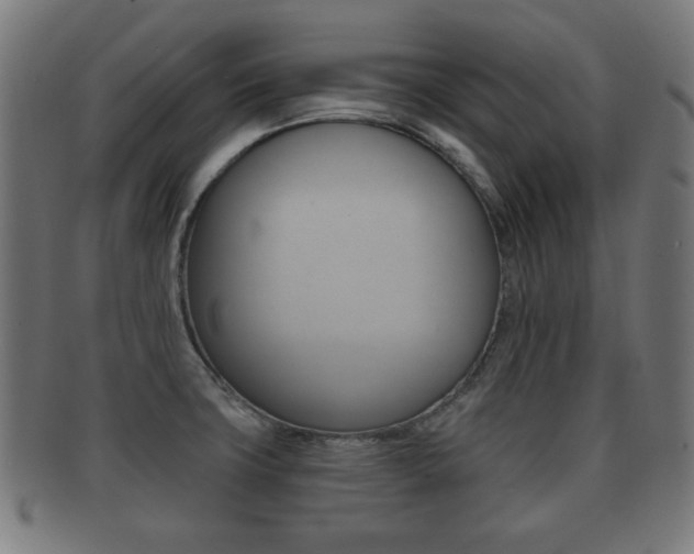 X0000091911427200709051202