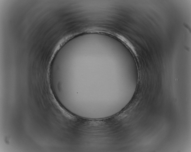 X0000091911429200709051202
