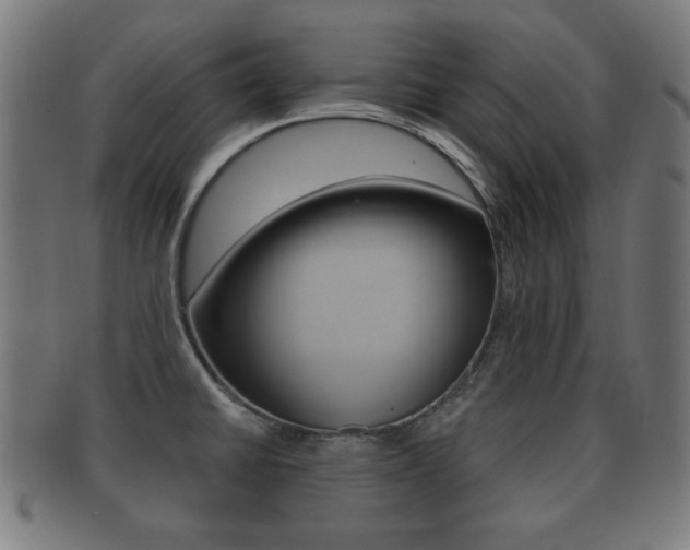 X0000091911430200709051202