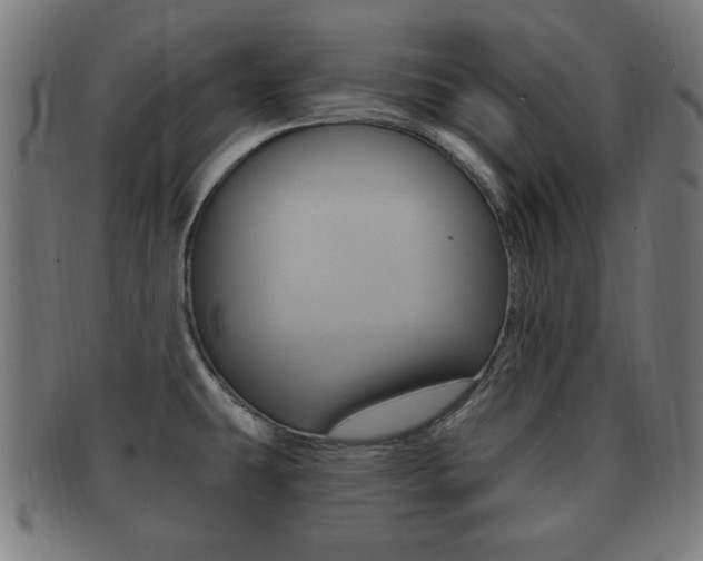X0000091911431200709051202