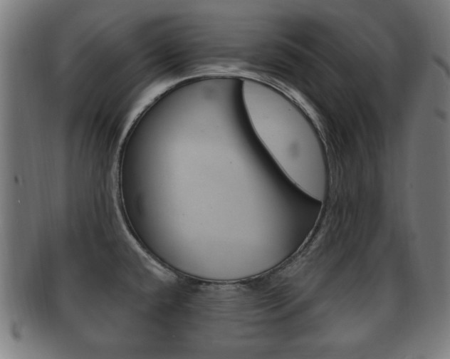 X0000091911432200709051202
