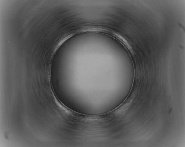 X0000091911433200709051202