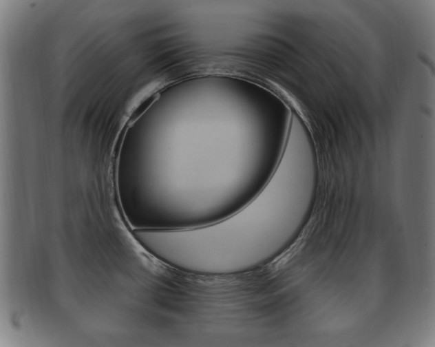 X0000091911434200709051202