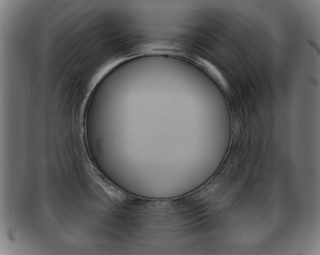 X0000091911435200709051202