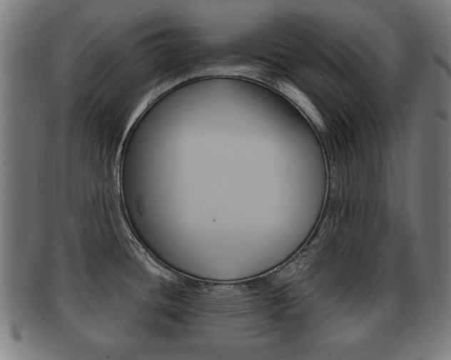 X0000091911436200709051202