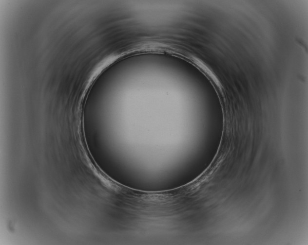 X0000091911437200709051202