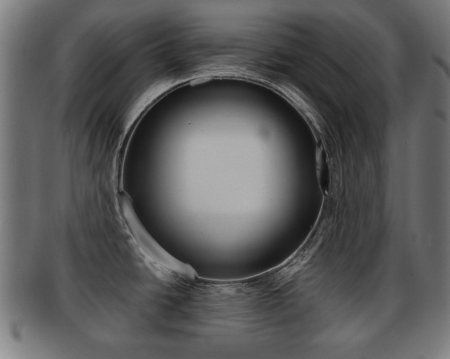X0000091911438200709051202