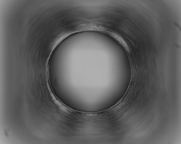 X0000091911439200709051202