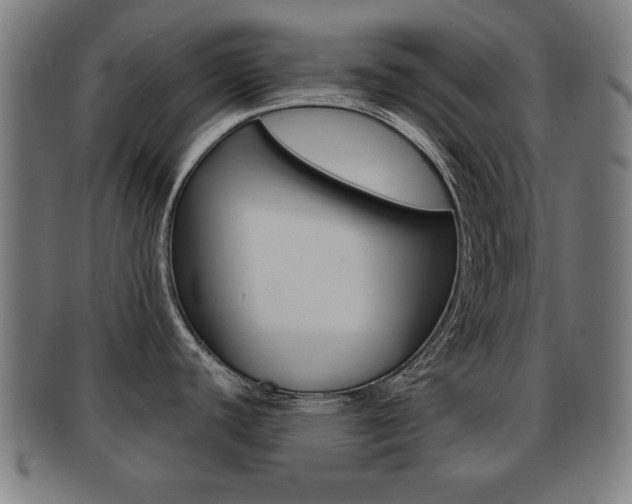 X0000091911440200709051202