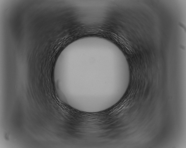 X0000091911441200709051202