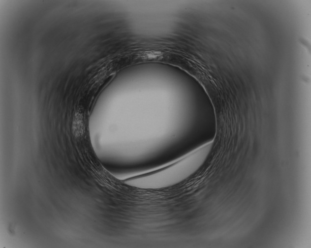 X0000091911442200709051202
