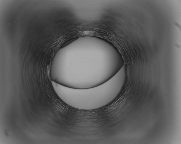 X0000091911443200709051202