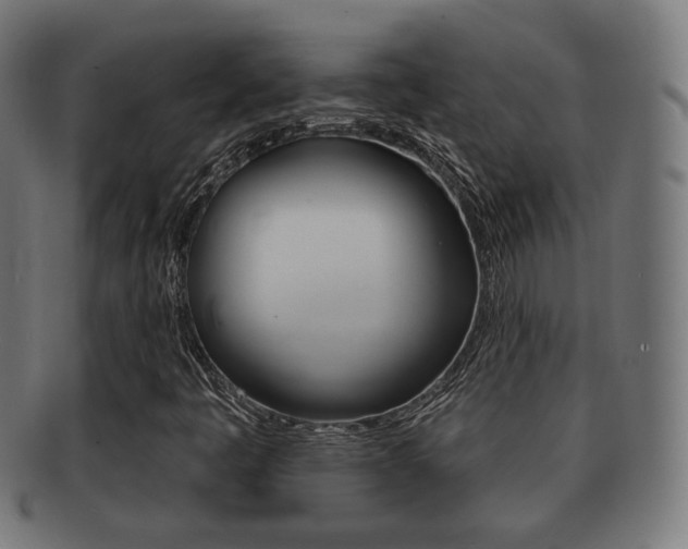 X0000091911445200709051202