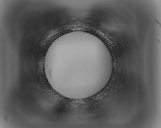 X0000091911446200709051202