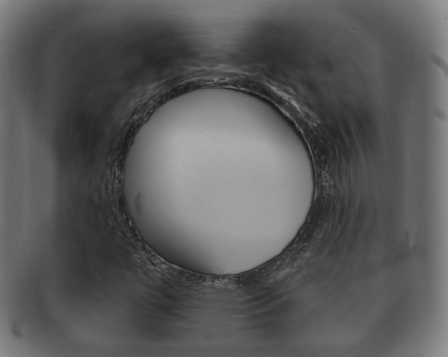 X0000091911447200709051202