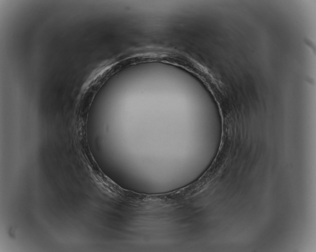 X0000091911448200709051202