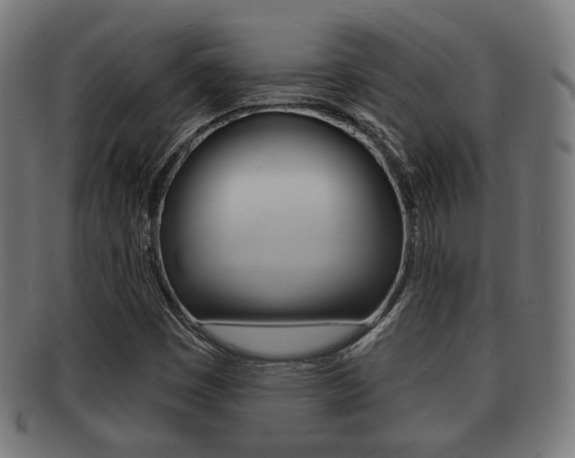 X0000091911449200709051202