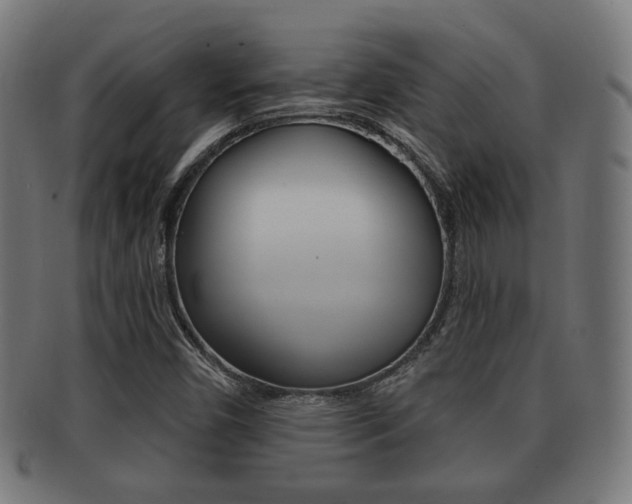 X0000091911450200709051202