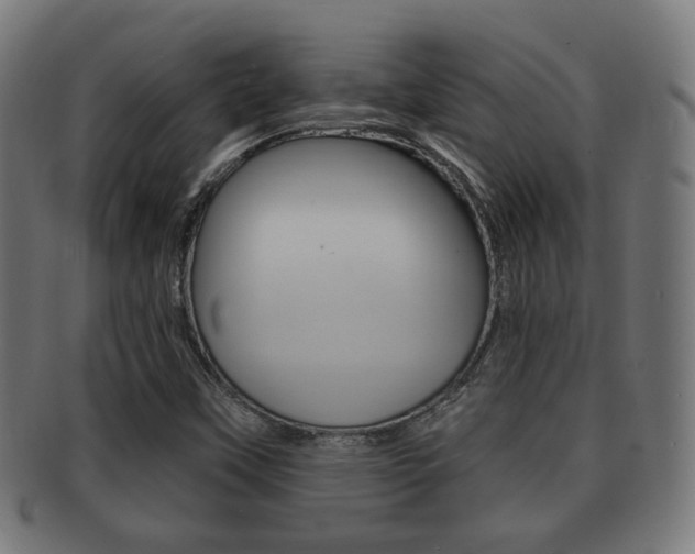 X0000091911451200709051202