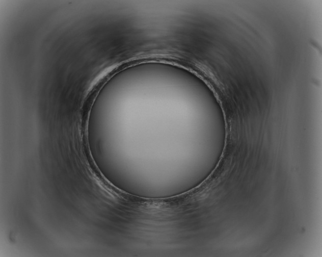 X0000091911452200709051202