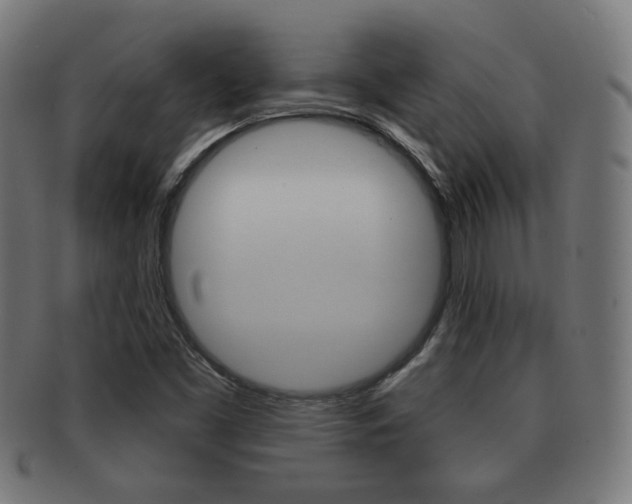 X0000091911453200709051202