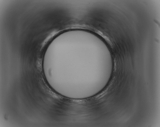 X0000091911454200709051202