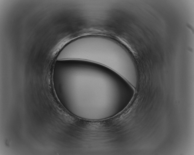 X0000091911455200709051202