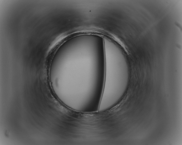X0000091911456200709051202