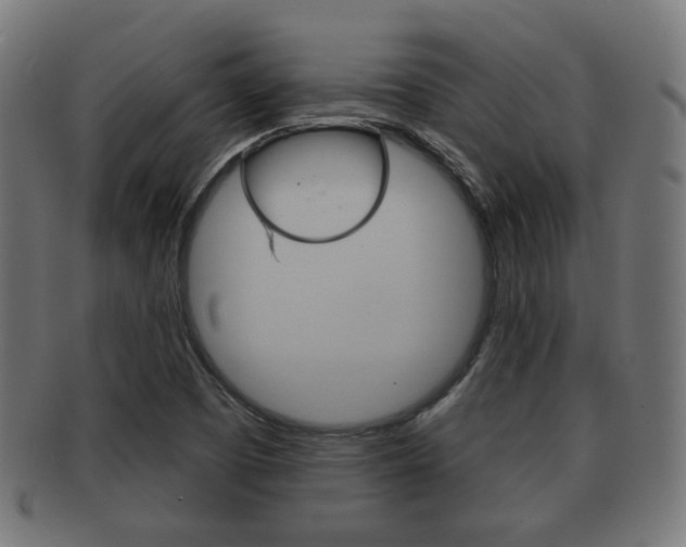 X0000091911457200709051202