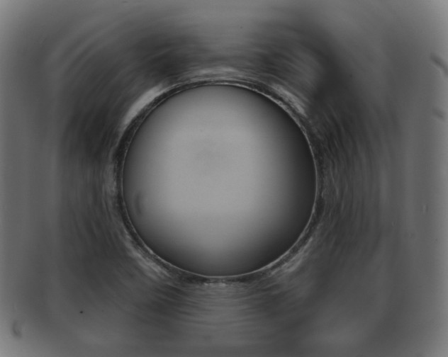 X0000091911458200709051202