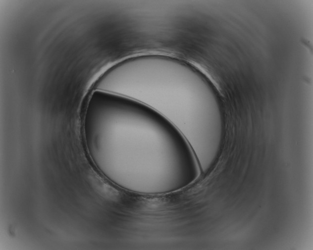 X0000091911460200709051202