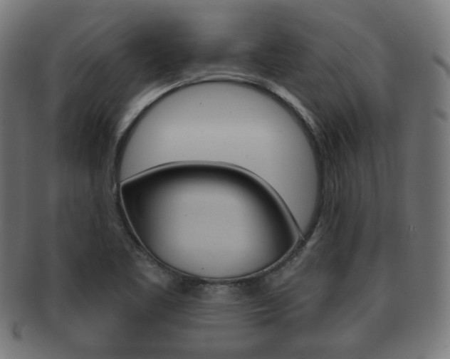 X0000091911461200709051202