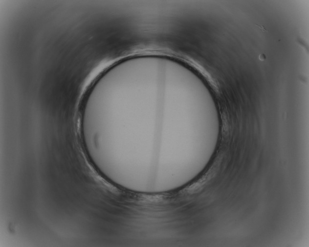 X0000091911462200709051201