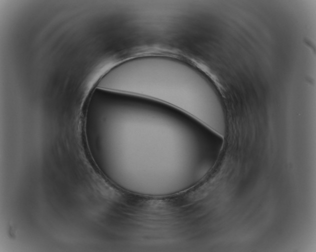 X0000091911463200709051201