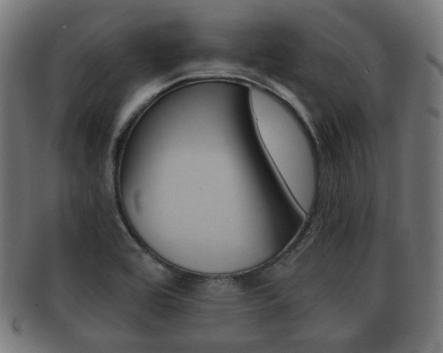 X0000091911464200709051201