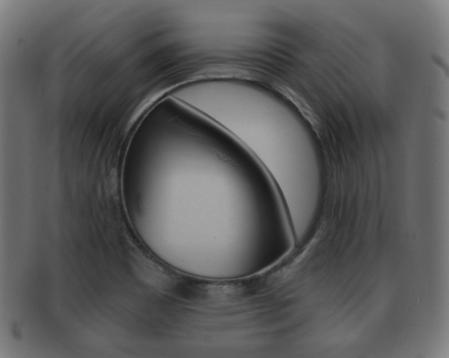 X0000091911465200709051201