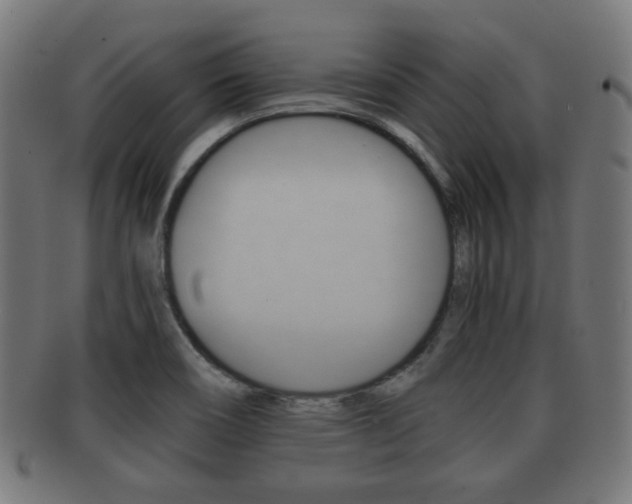 X0000091911466200709051201