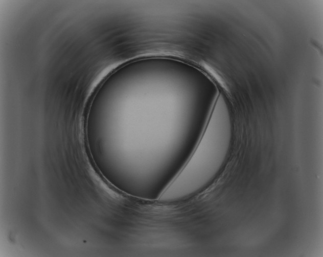 X0000091911468200709051201