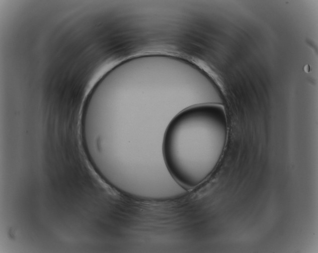 X0000091911469200709051201