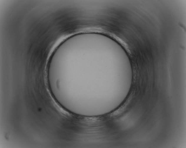 X0000091911470200709051201