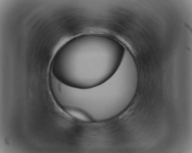 X0000091911471200709051201