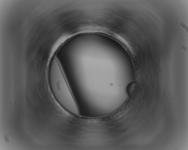 X0000091911472200709051201