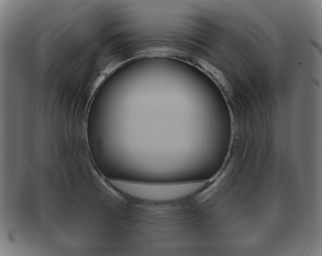 X0000091911473200709051201