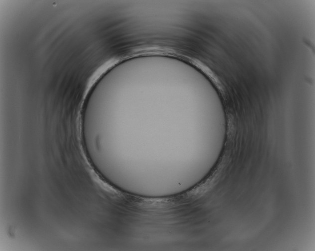 X0000091911474200709051201